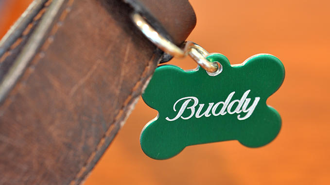 Personalisation of pet tags